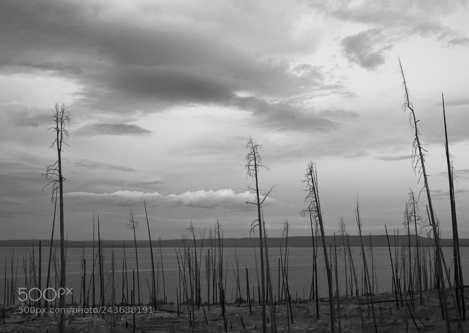 Nikon D800 sample photo. Desolate shore photography