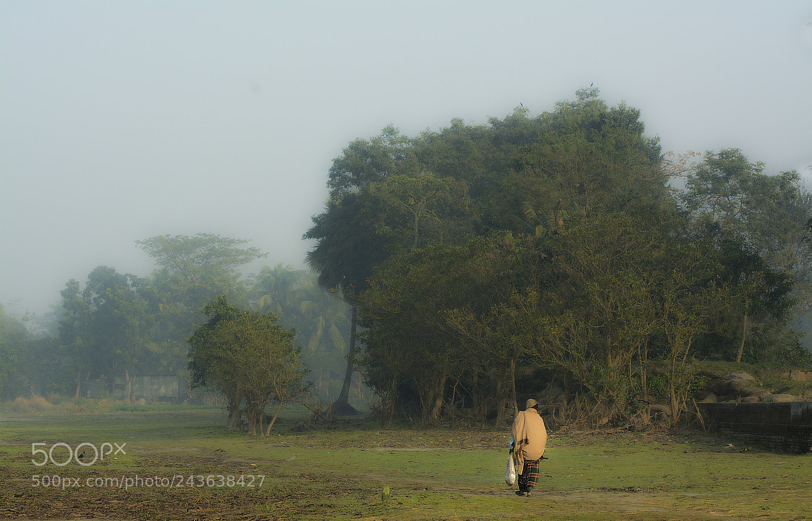Nikon D7100 sample photo. Beauty of winter (bangladesh) photography