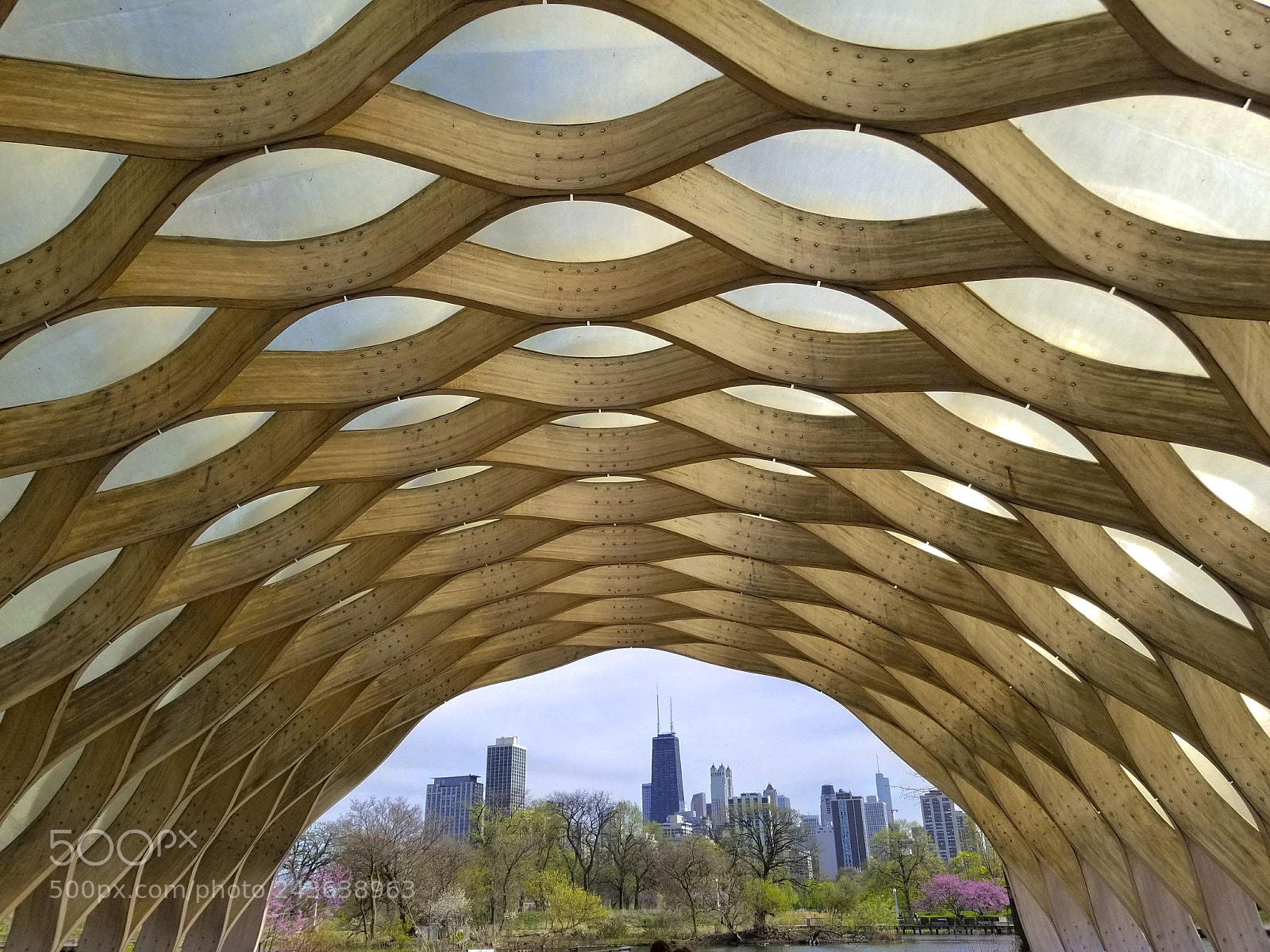 Samsung Galaxy S8 sample photo. Lincoln park, chicago photography