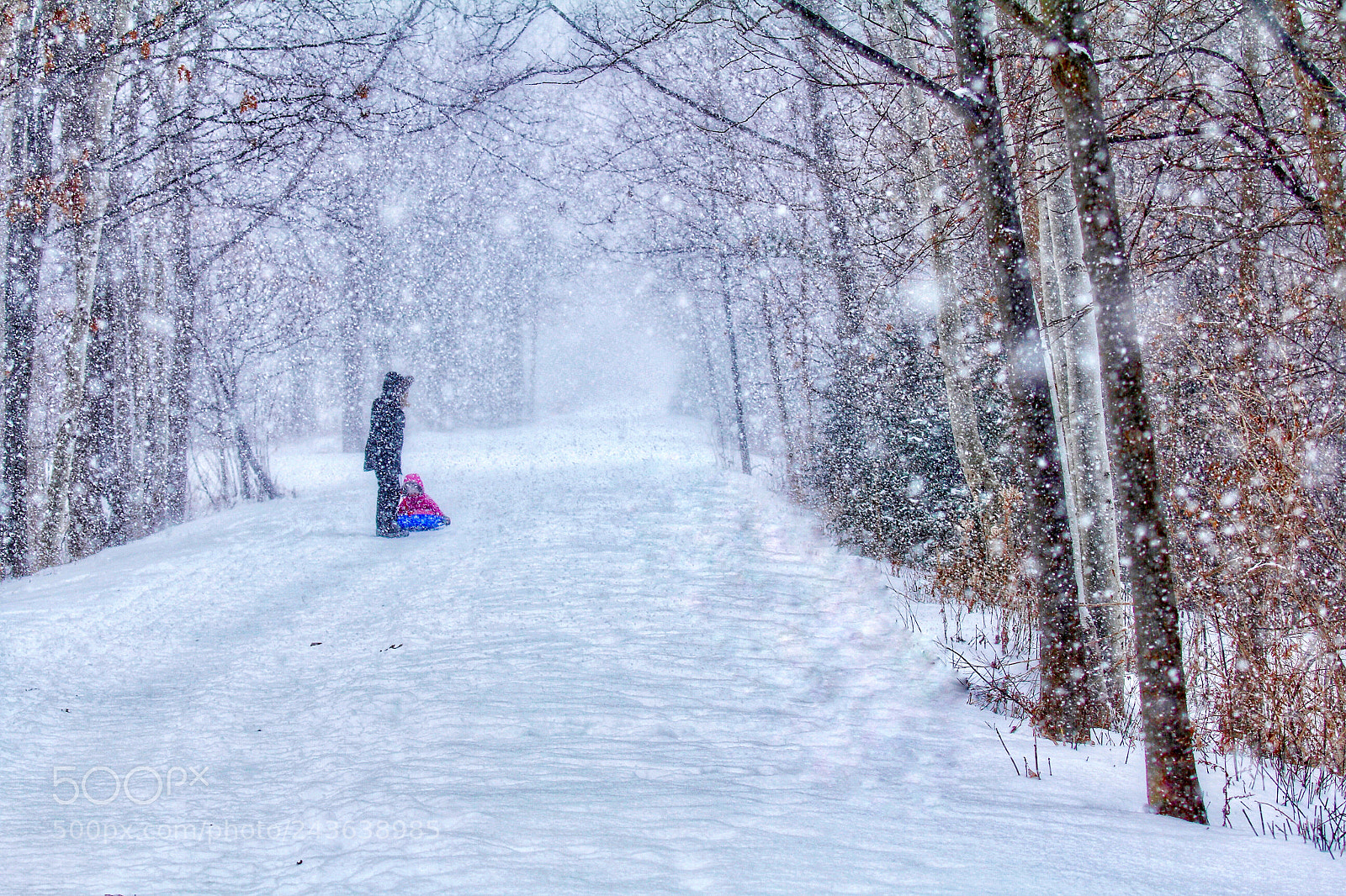 Canon EOS 60D sample photo. Winter fun! photography