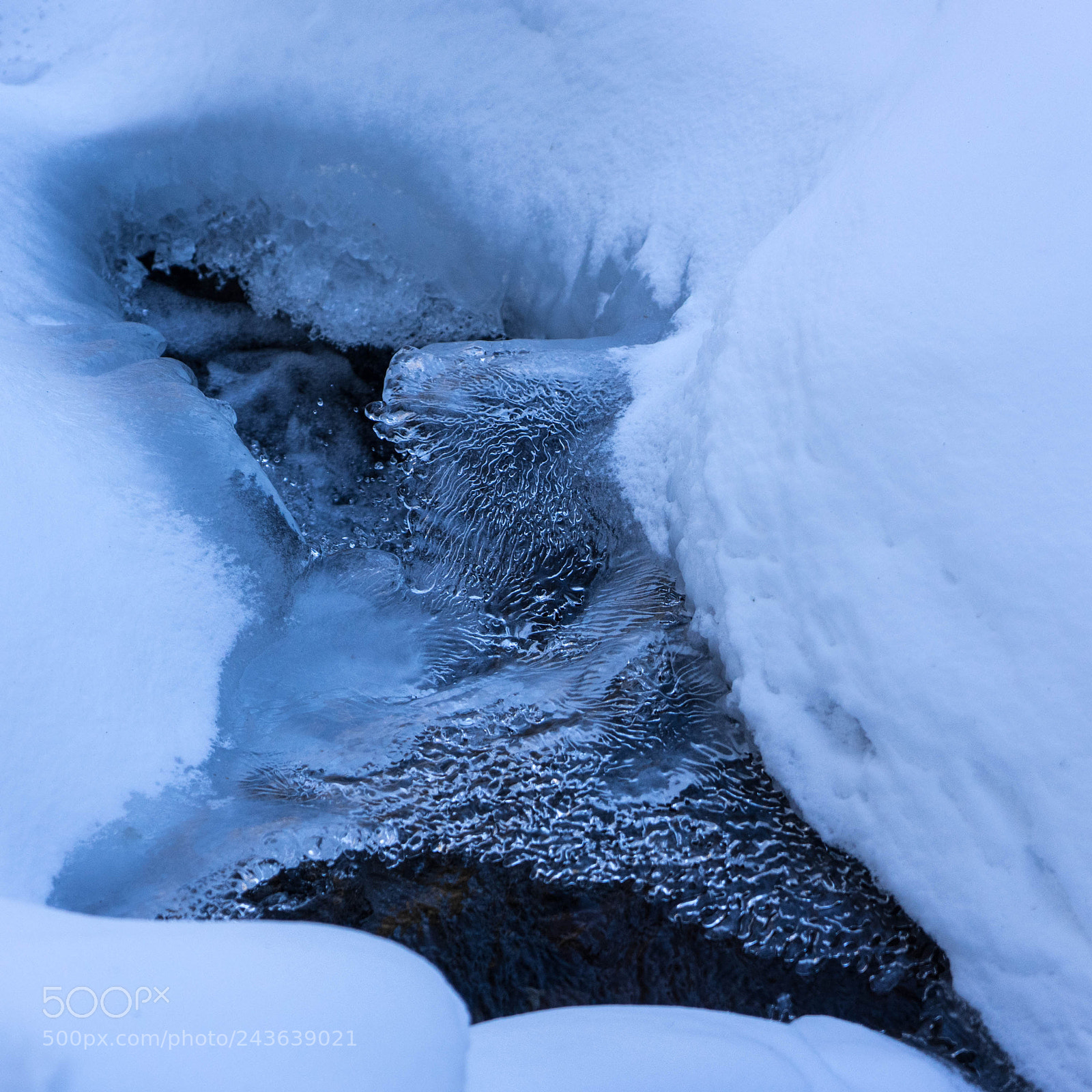 Sony a7 II sample photo. Ice crest photography