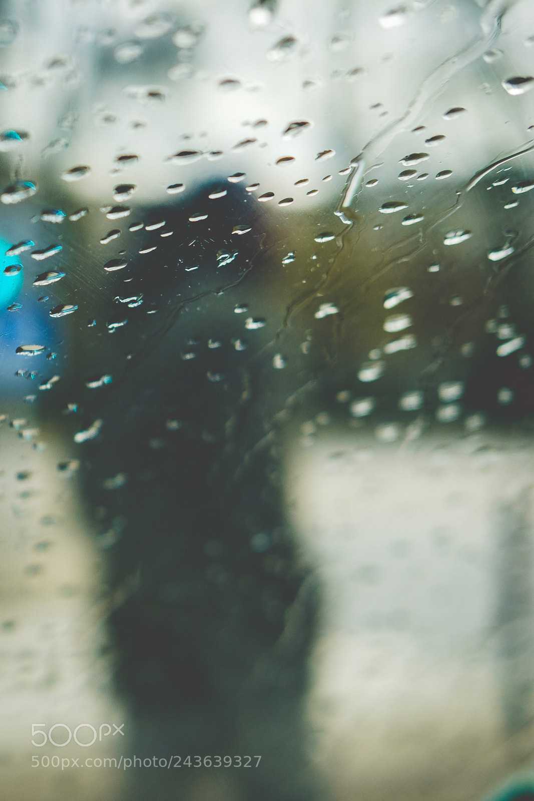 Fujifilm X-T2 sample photo. It's raining again photography