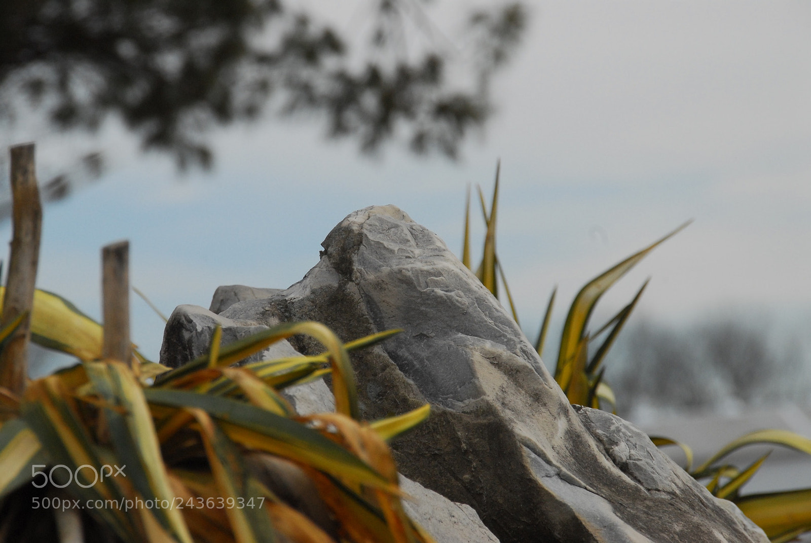 Nikon D200 sample photo. Solidity photography