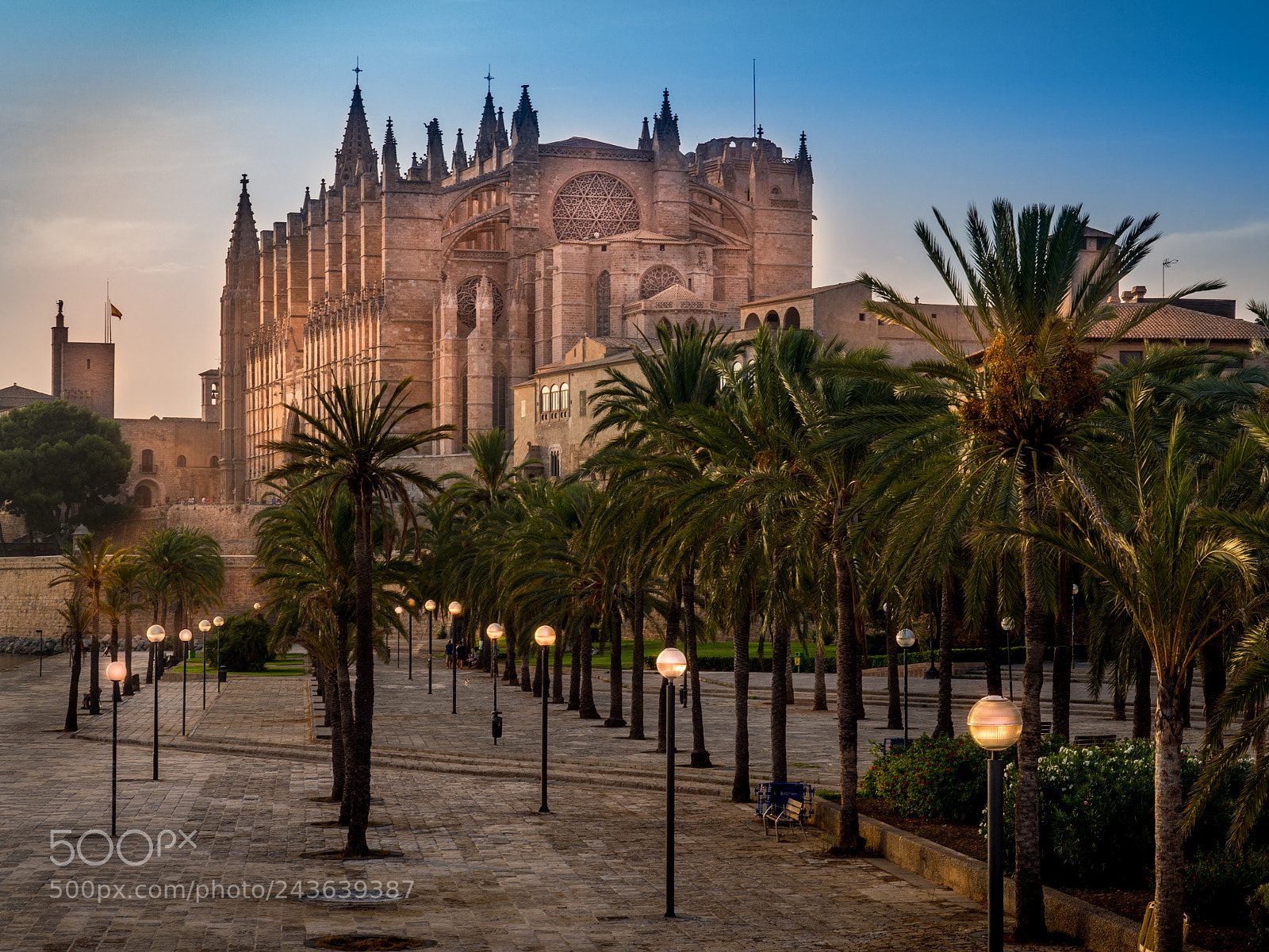Olympus OM-D E-M5 sample photo. Palma cathedral photography