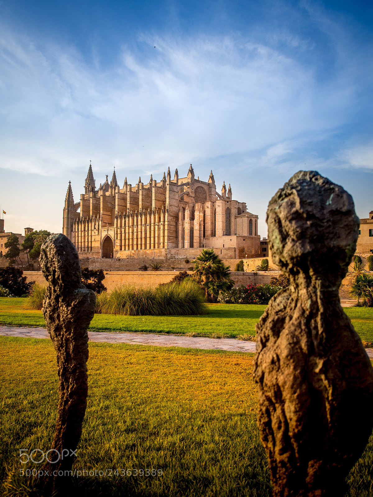 Olympus OM-D E-M5 sample photo. Palma cathedral photography