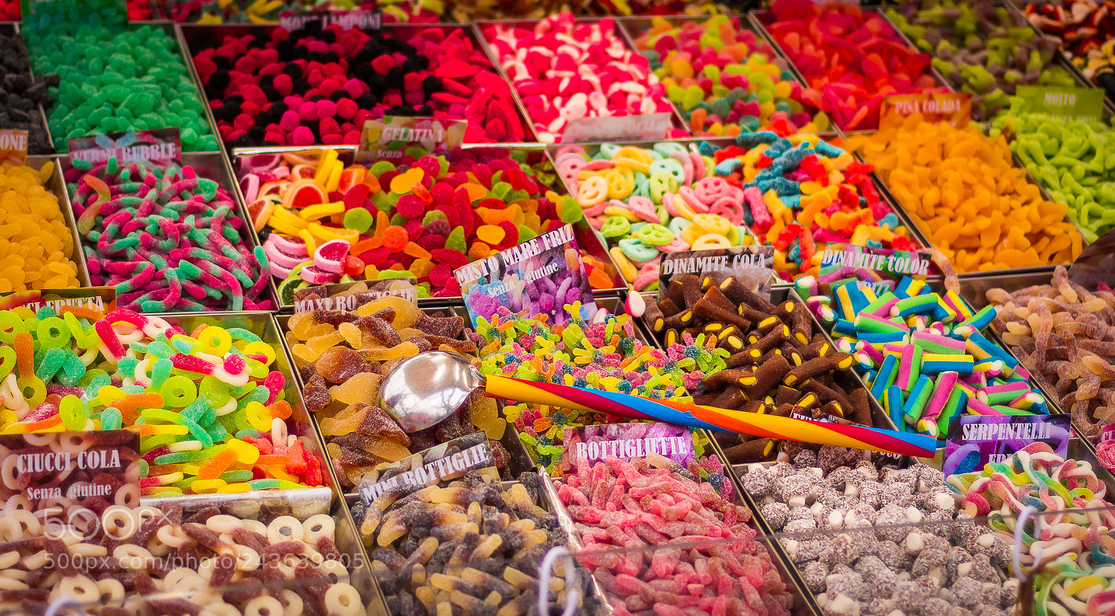 Nikon D7200 sample photo. Sweet colors photography