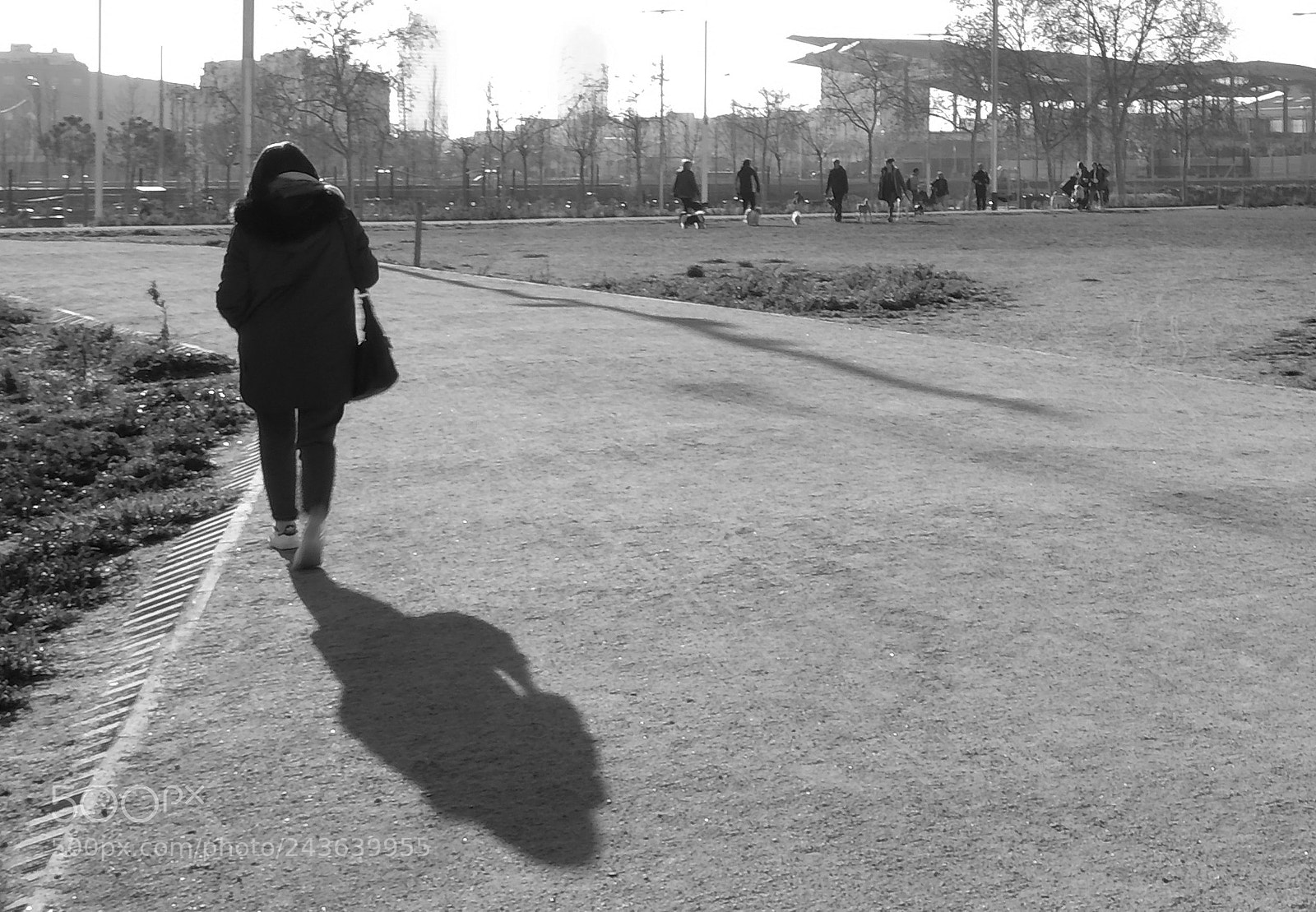Fujifilm X-E2 sample photo. Walking time photography