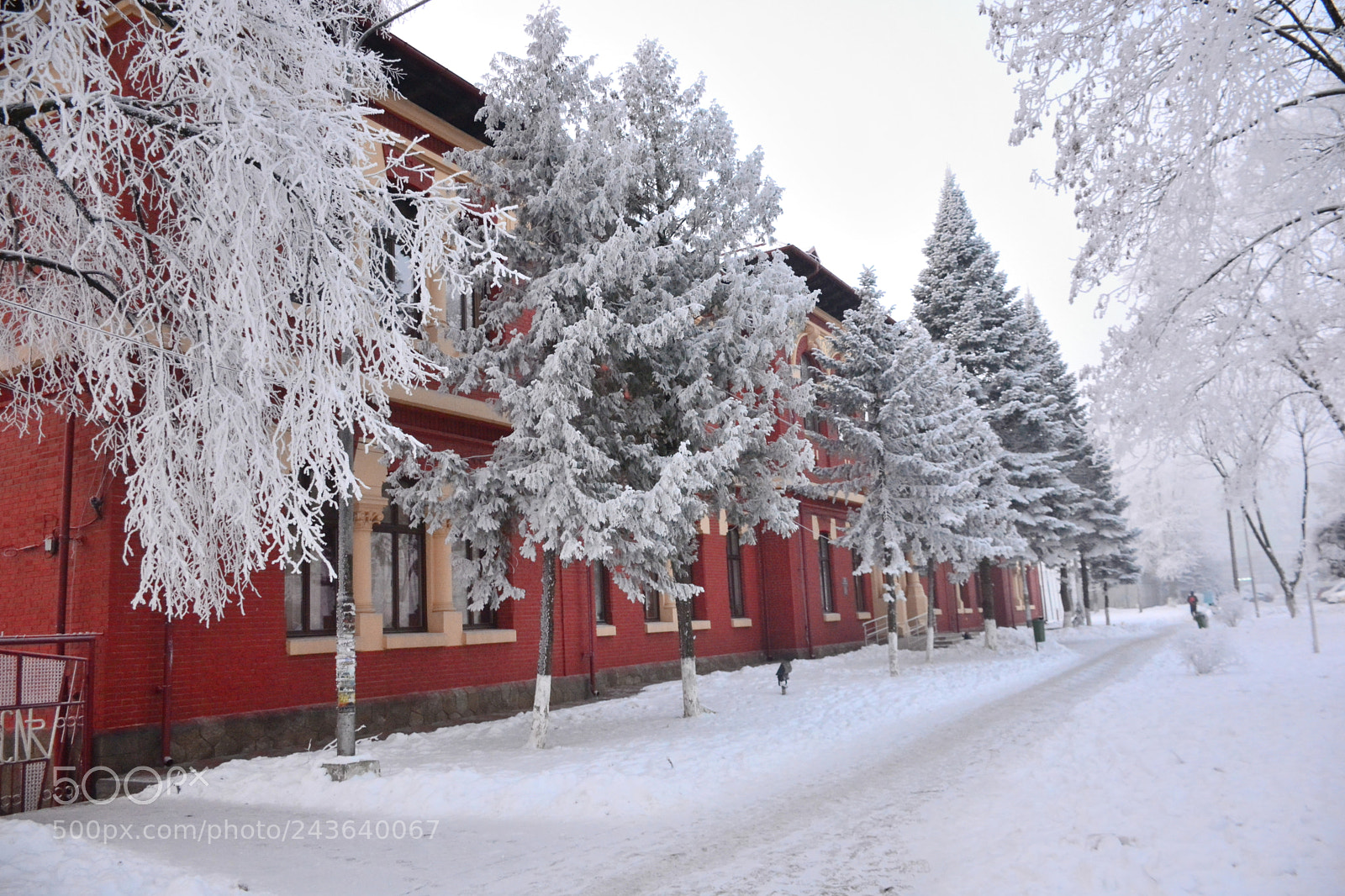Nikon D7100 sample photo. Winter alley photography