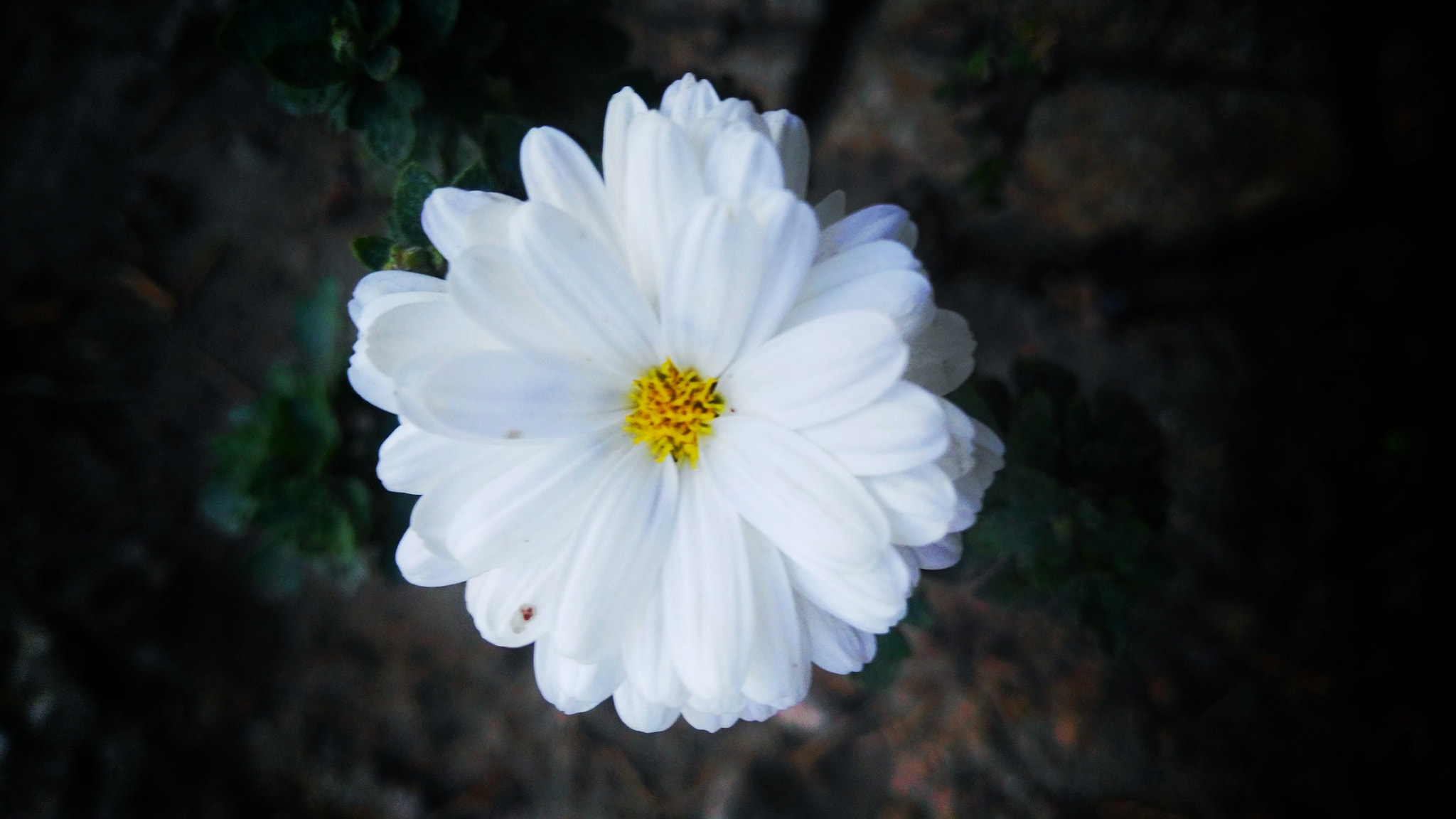 HUAWEI GX8 sample photo