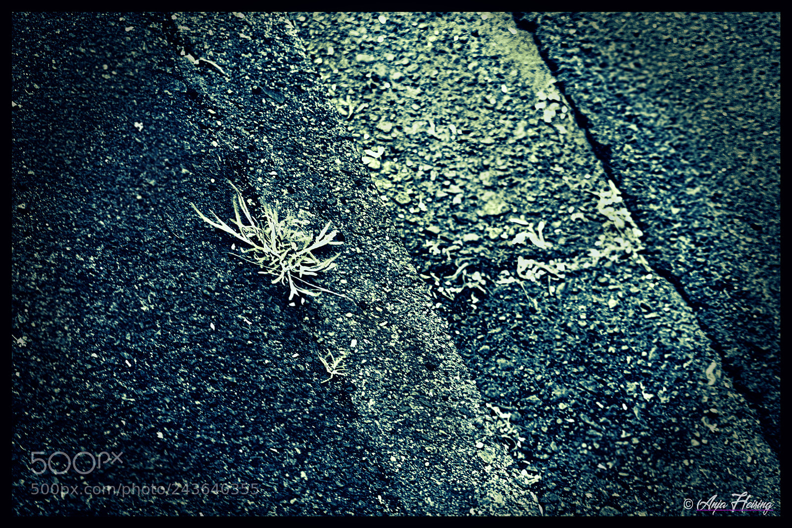 Sony SLT-A68 sample photo. Street photography