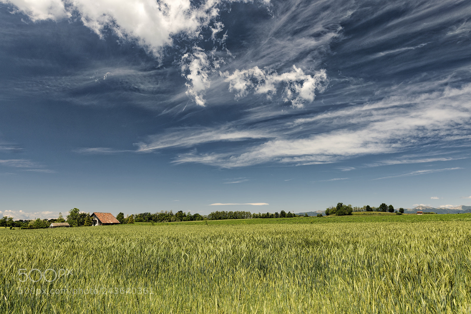 Nikon D810 sample photo. Country landscape in brianza photography