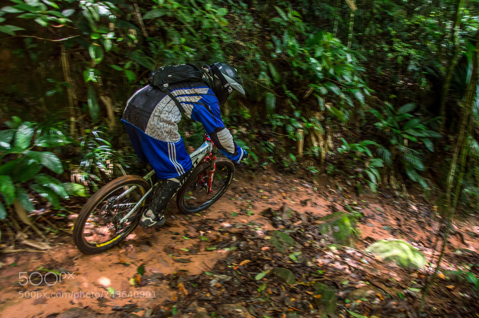 Nikon D3200 sample photo. Trilha do macaco monkey photography