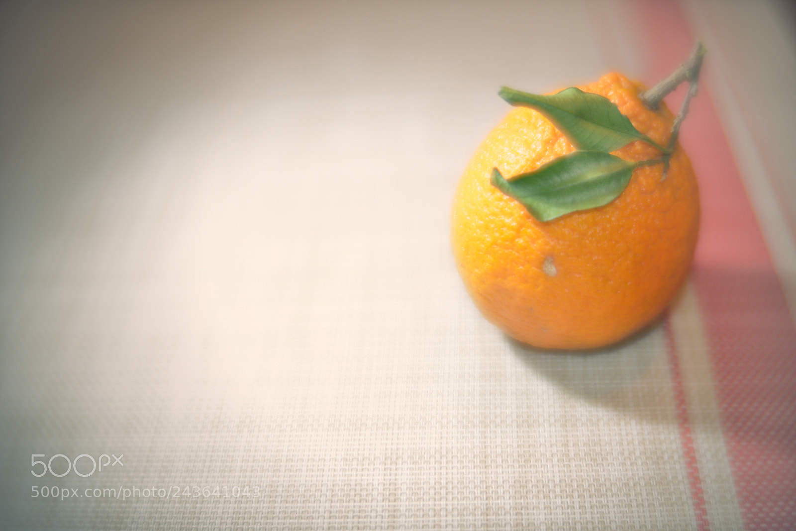 Nikon D800 sample photo. The beautiful things beside photography