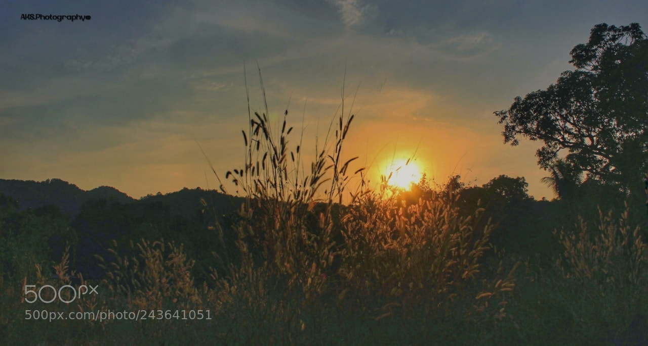 Canon EOS 1300D (EOS Rebel T6 / EOS Kiss X80) sample photo. Sunset. photography