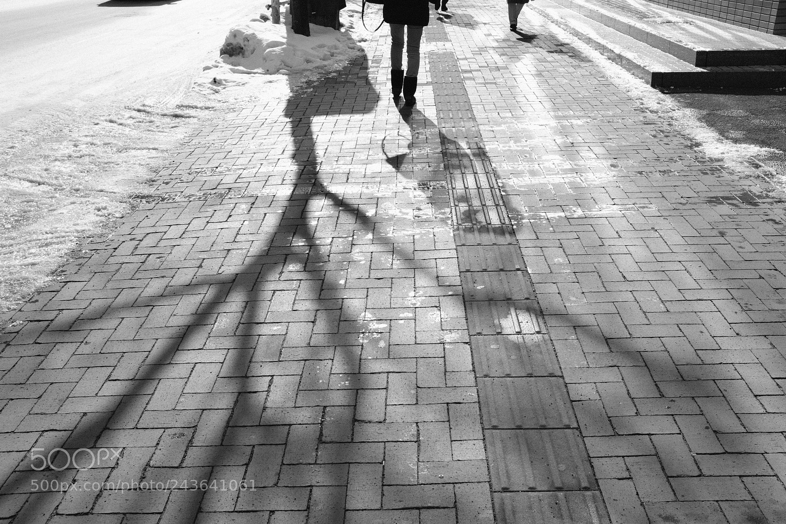 Fujifilm X100F sample photo. Dscf photography