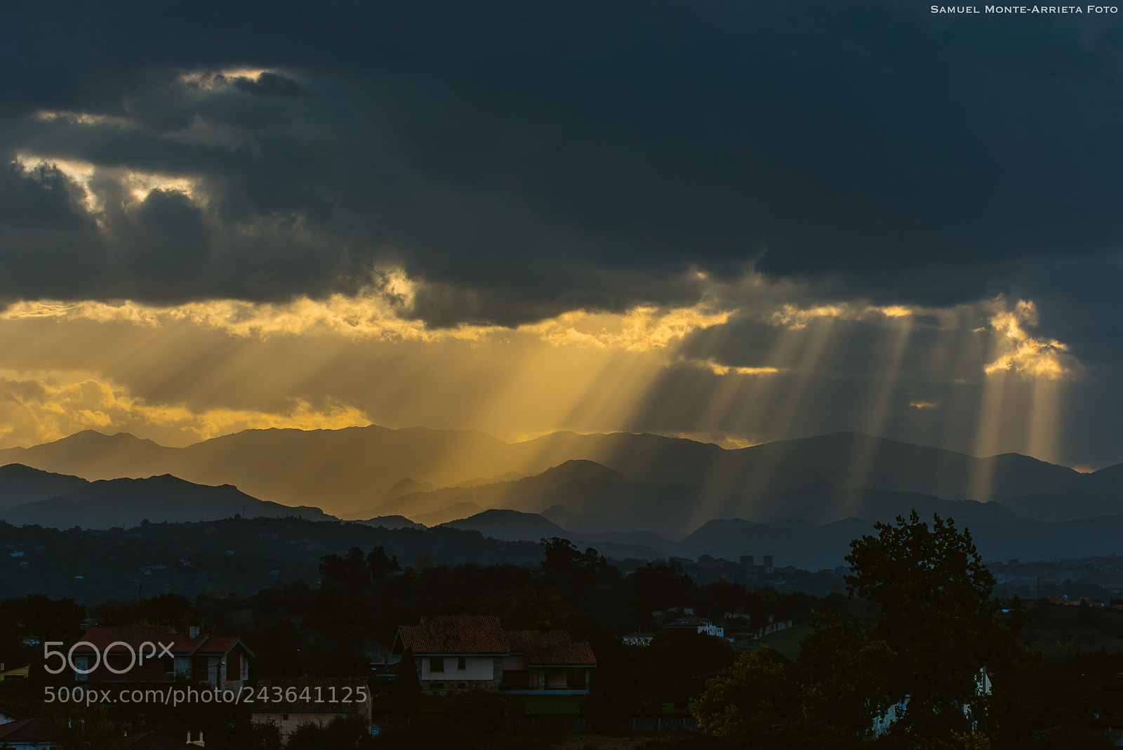 Nikon D810 sample photo. Sun rays photography