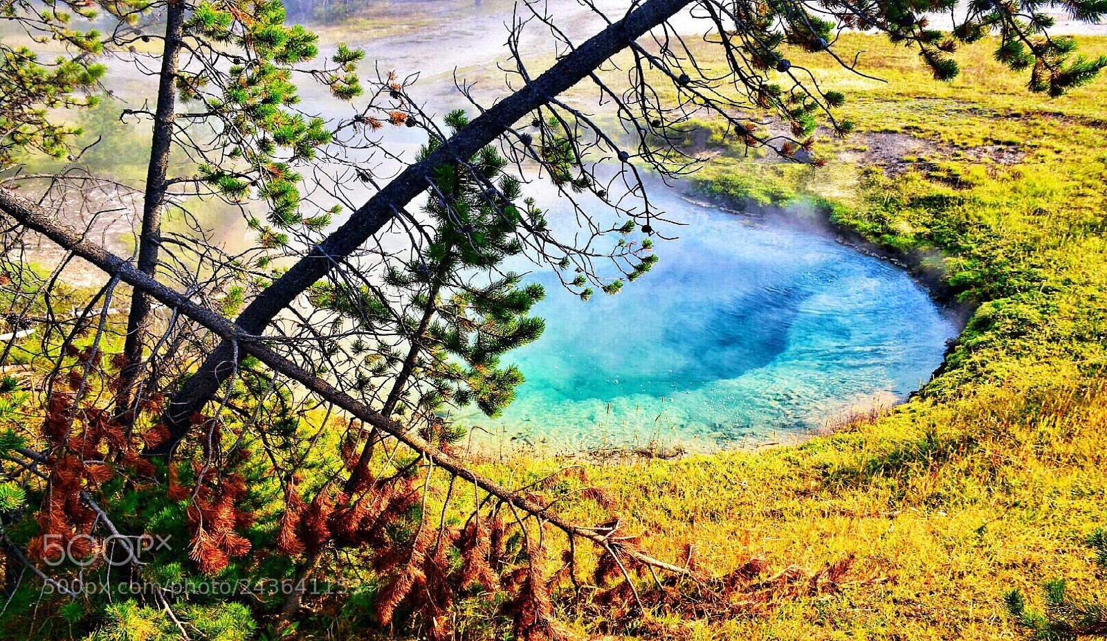 Nikon D5500 sample photo. Steaming pond photography