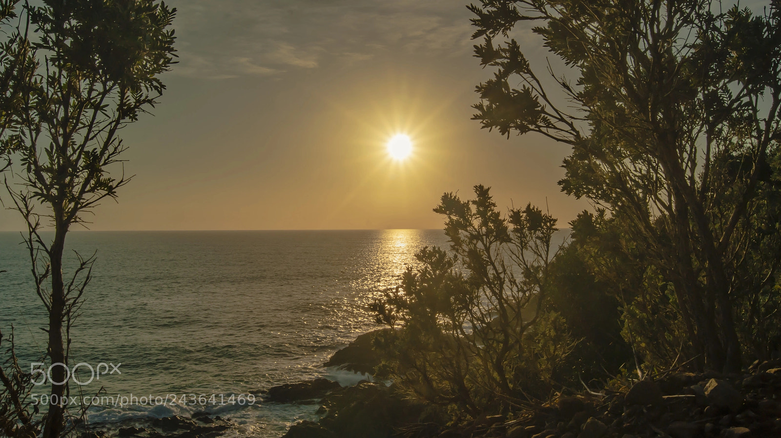 Sony Alpha DSLR-A380 sample photo. Hidden sunset photography
