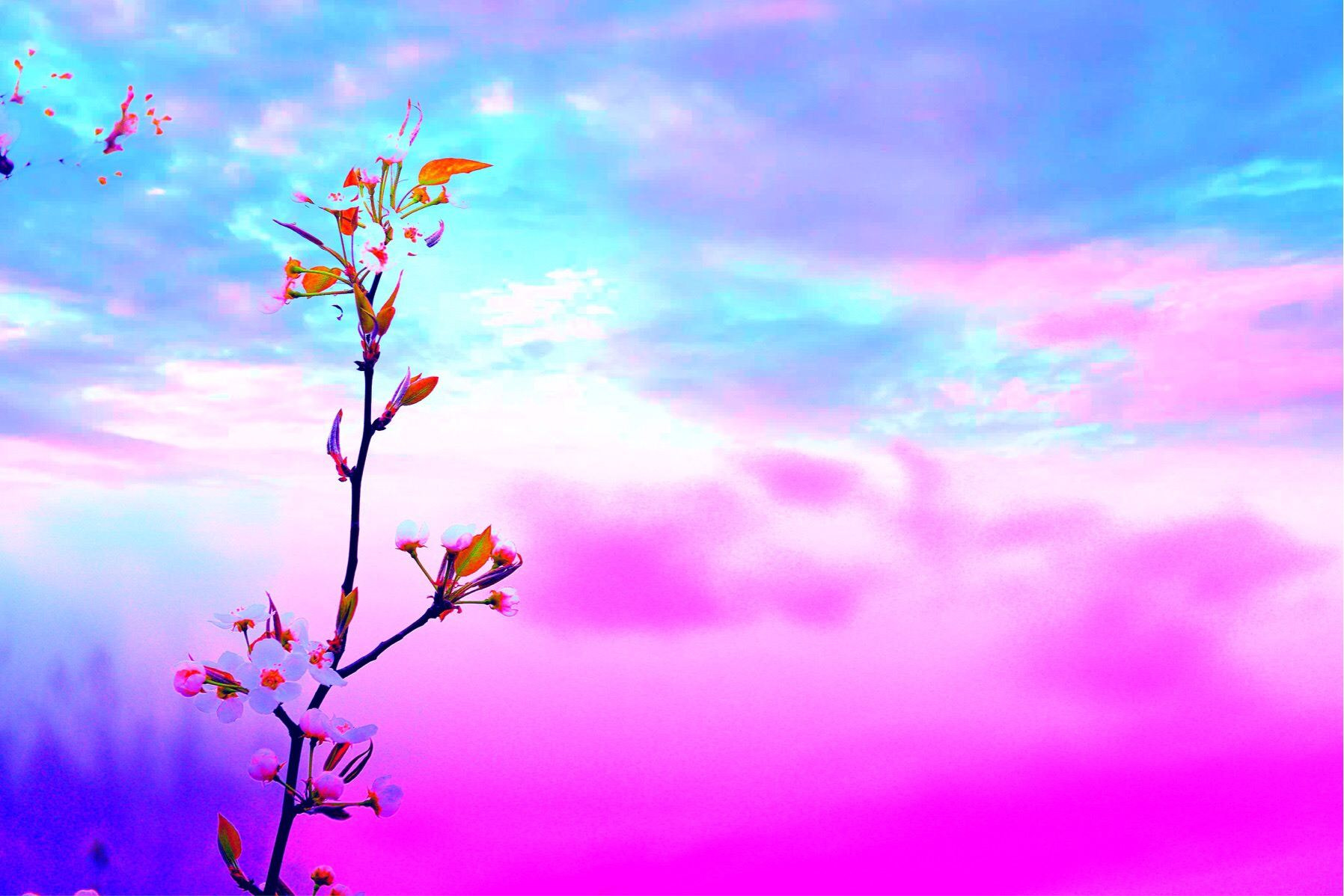 v2?sig=95546192c8d87fd2a6e0ef9489d976efc