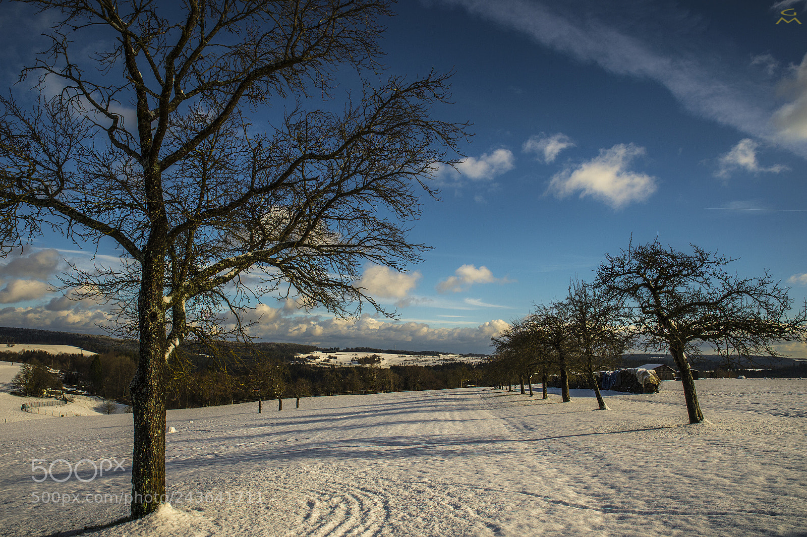 Nikon D4 sample photo. W h i t photography
