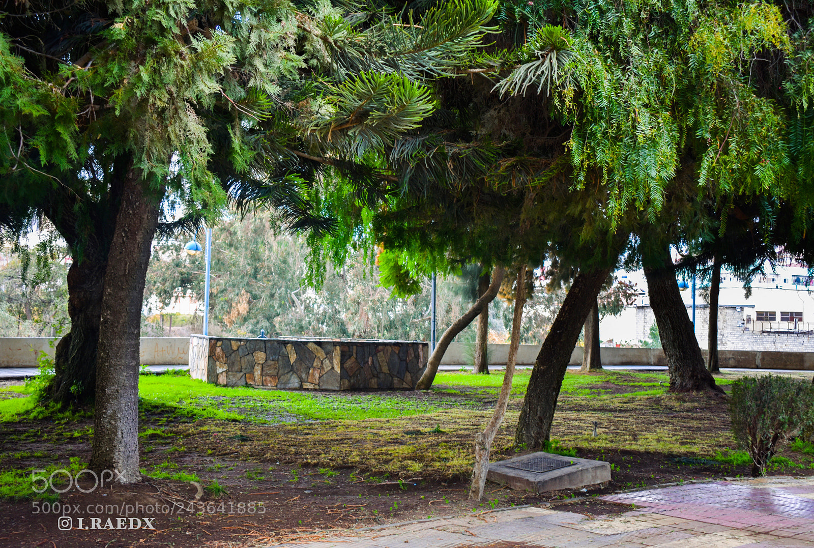 Nikon D3400 sample photo. Untitled photography