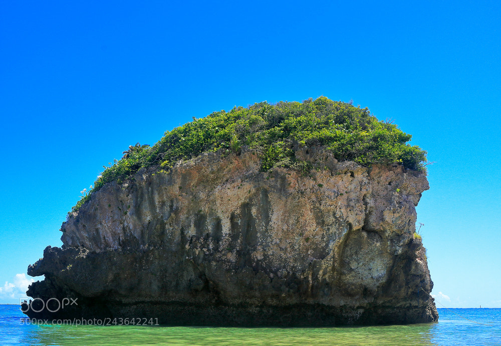 Canon EOS 100D (EOS Rebel SL1 / EOS Kiss X7) sample photo. Rocadeokinawa photography