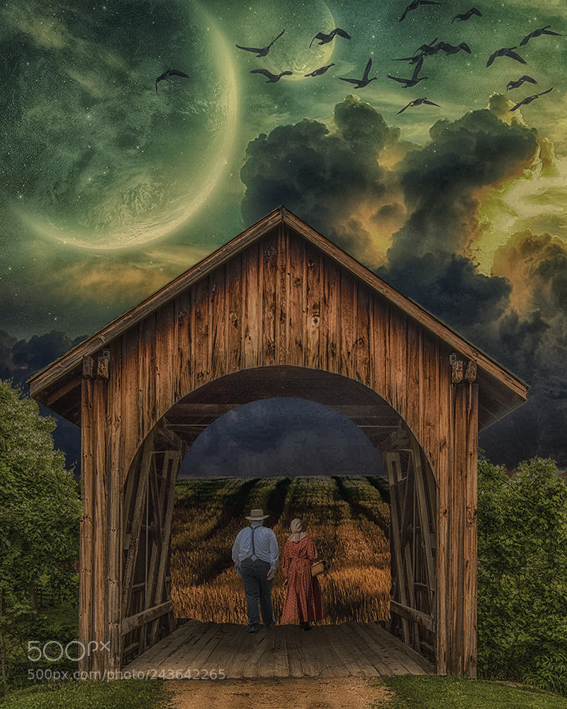 Nikon D810 sample photo. Covered bridge photography