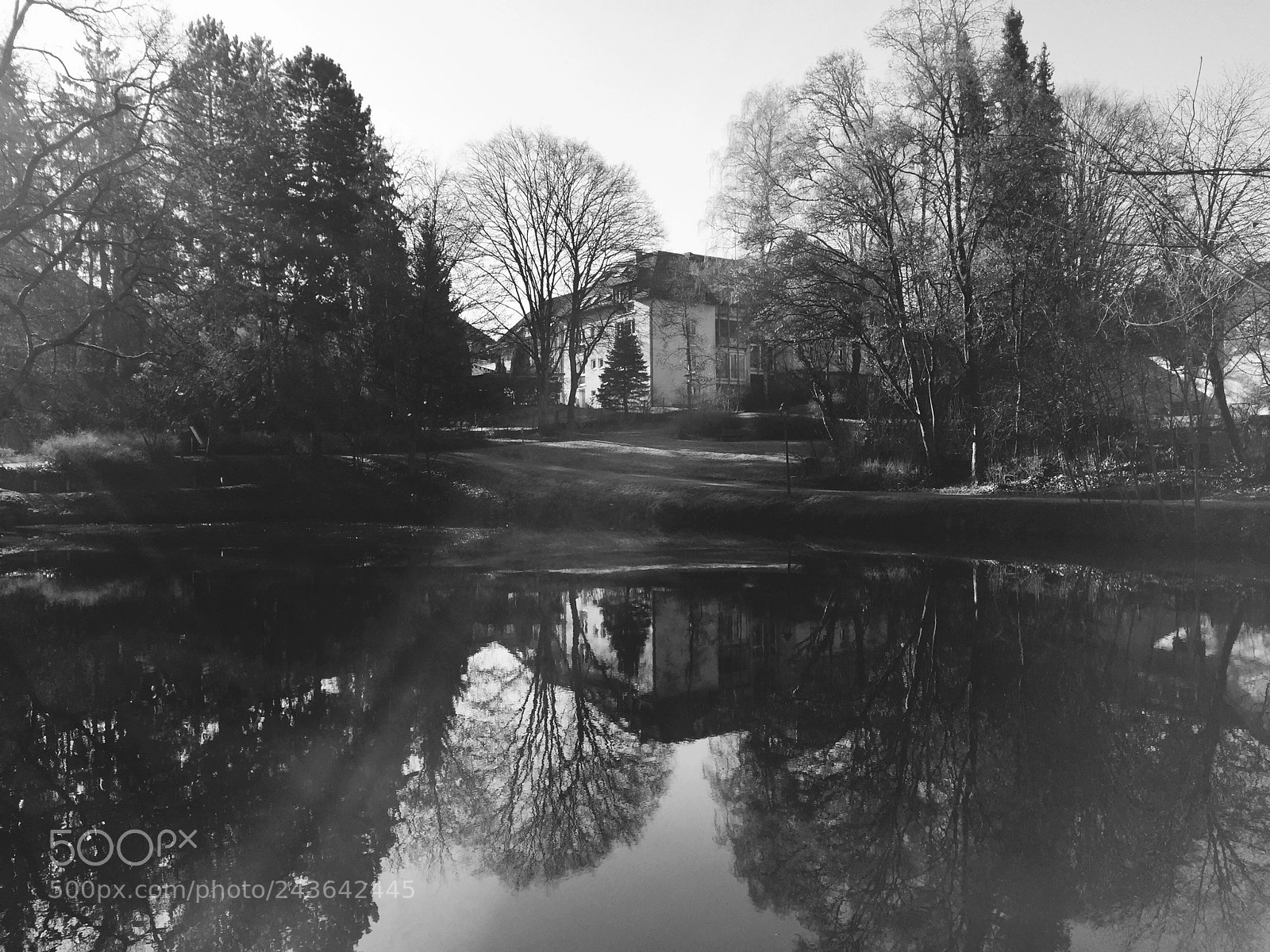 Apple iPhone 6 sample photo. #reflection # mobilephotography photography