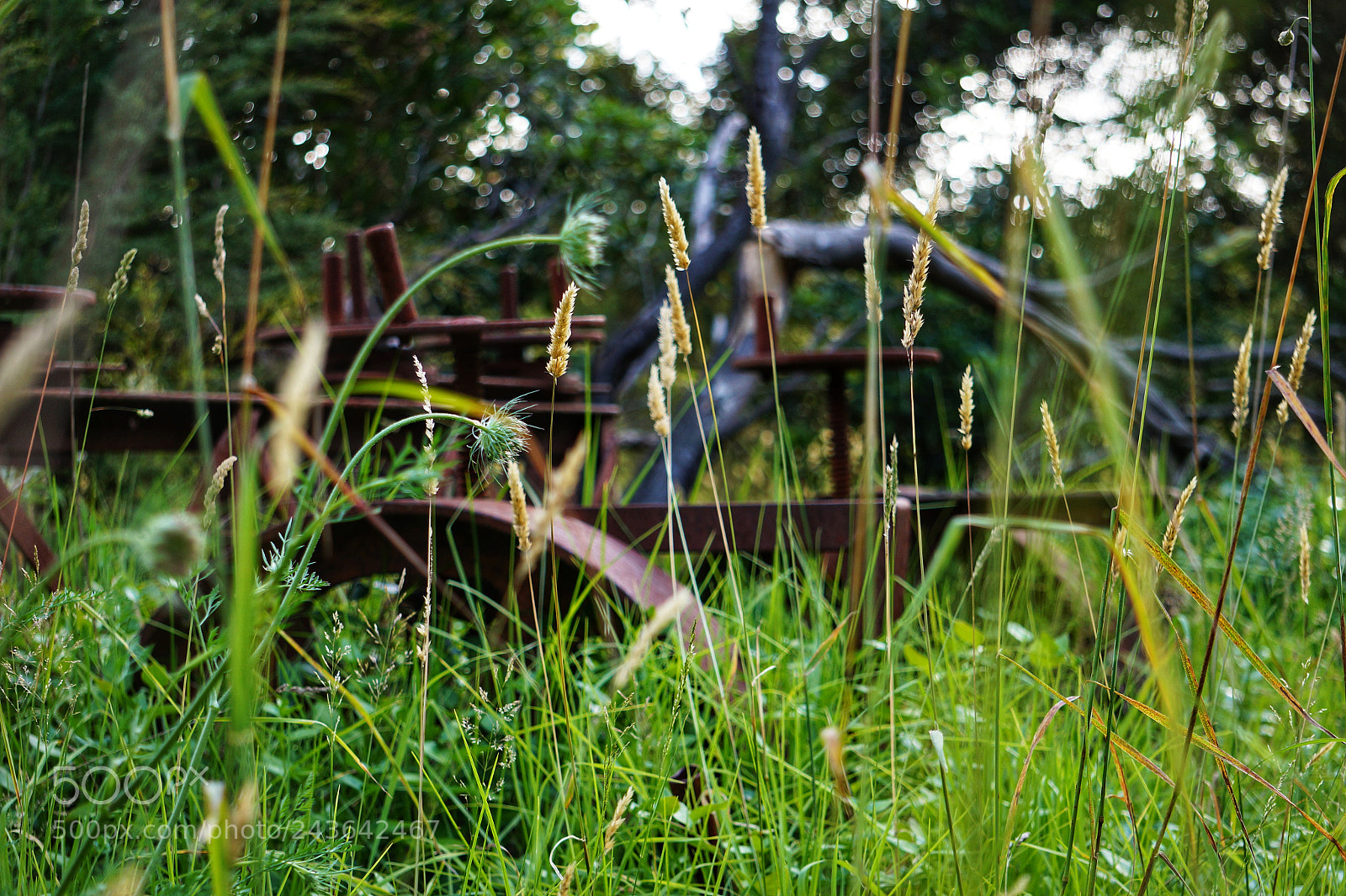 Sony Alpha a3500 sample photo. Untitled photography