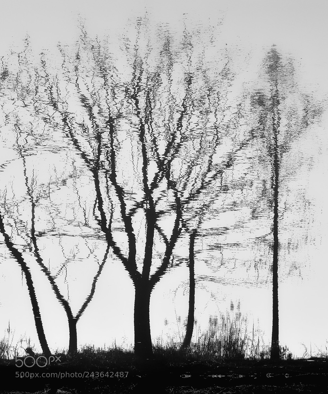 Olympus PEN-F sample photo. 顾影 photography