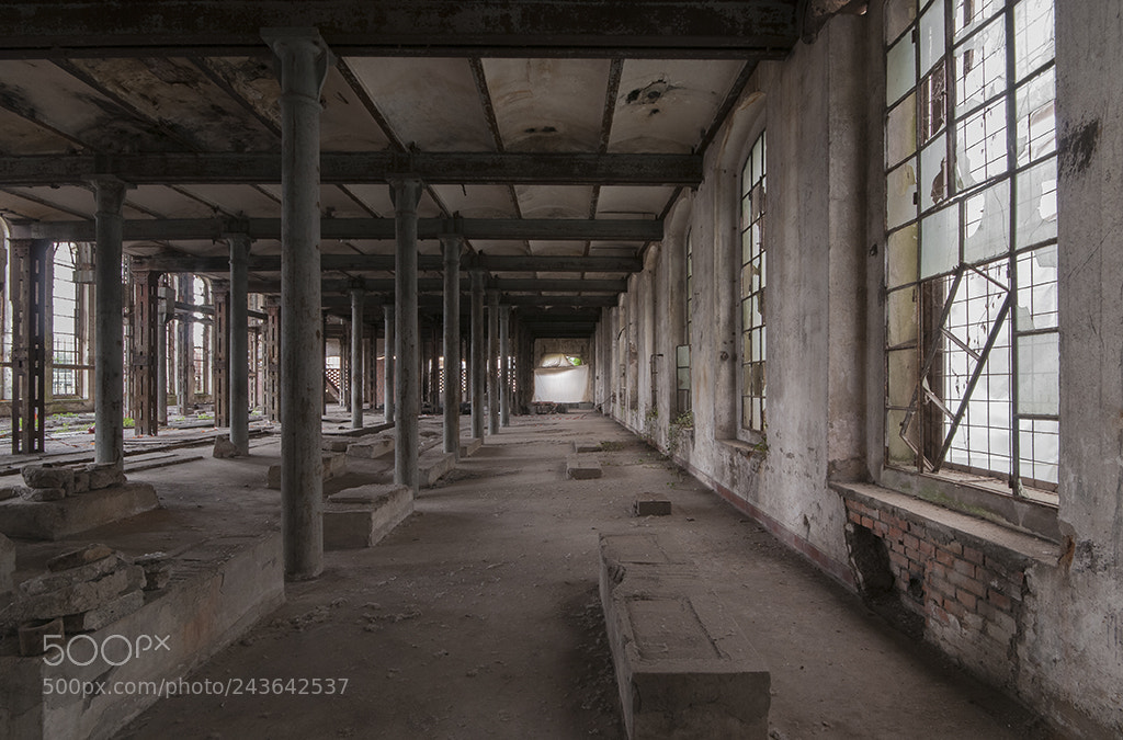 Nikon D300 sample photo. Rivoluzione industriale photography