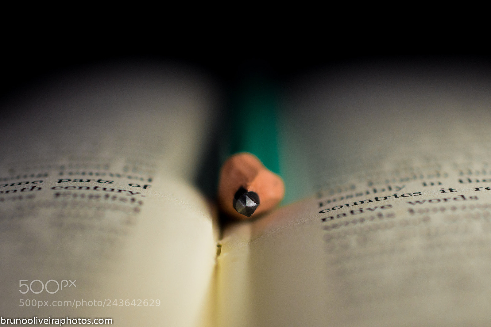 Nikon D7200 sample photo. Playing with my camera photography