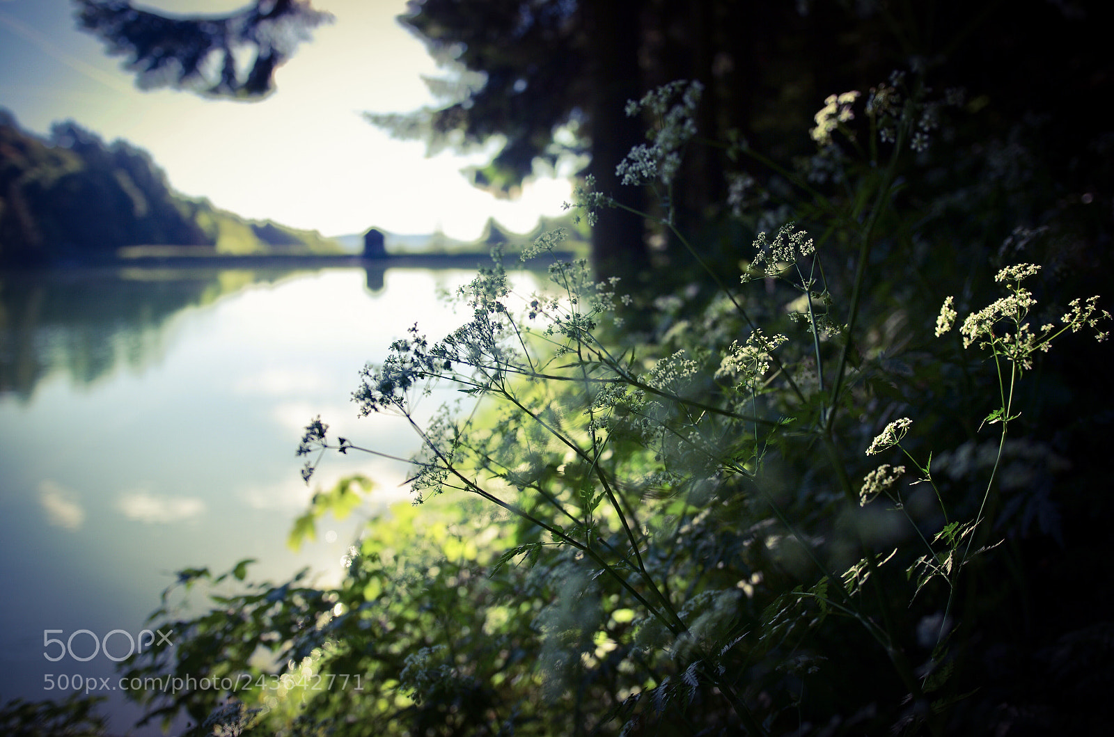 Pentax K-5 IIs sample photo. Untitled photography