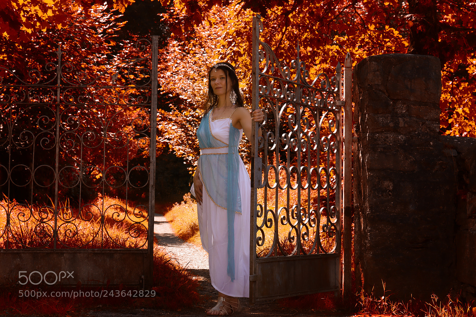 Canon EOS 7D Mark II sample photo. Redsun photography