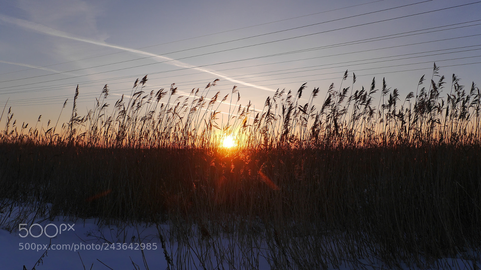 Panasonic Lumix DMC-G6 sample photo. Grass at sunset photography