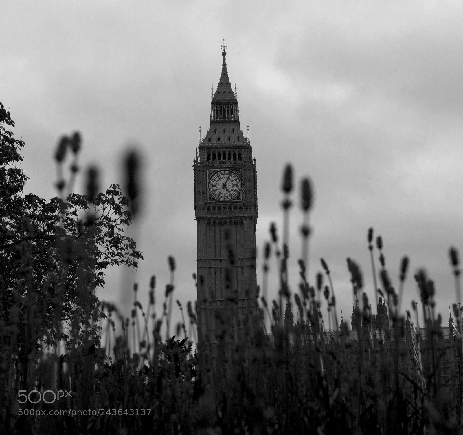 Canon EOS-1D Mark IV sample photo. London photography