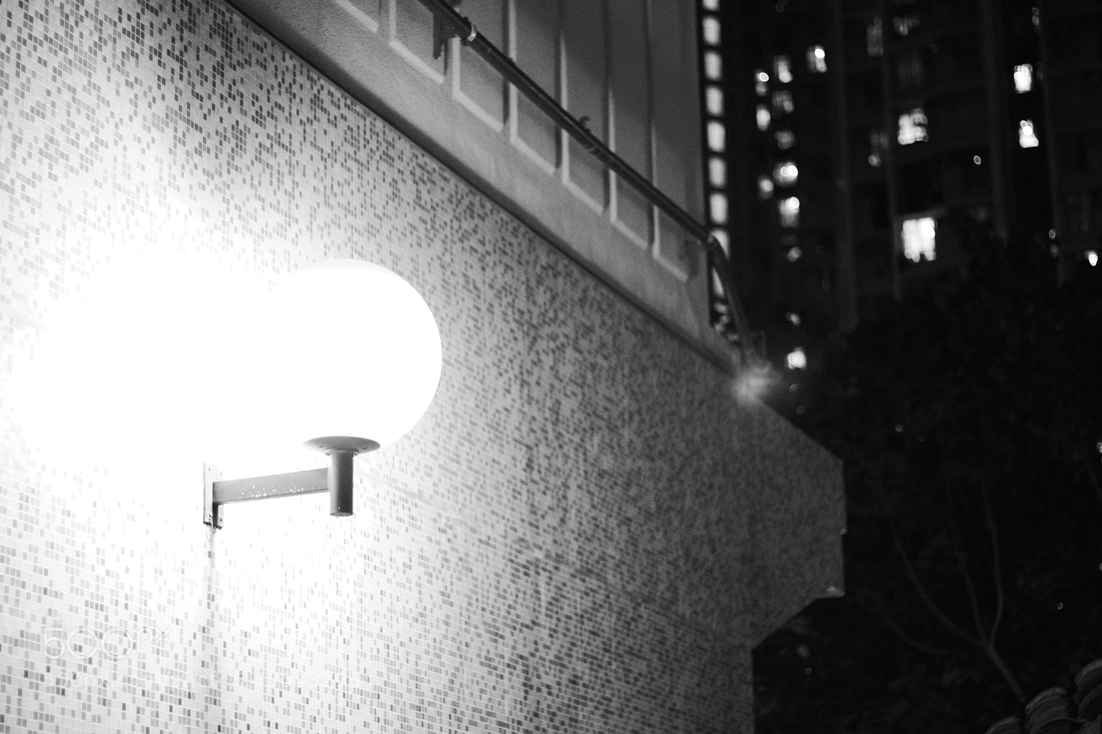 Canon EOS 800D (EOS Rebel T7i / EOS Kiss X9i) sample photo. Black&white photography