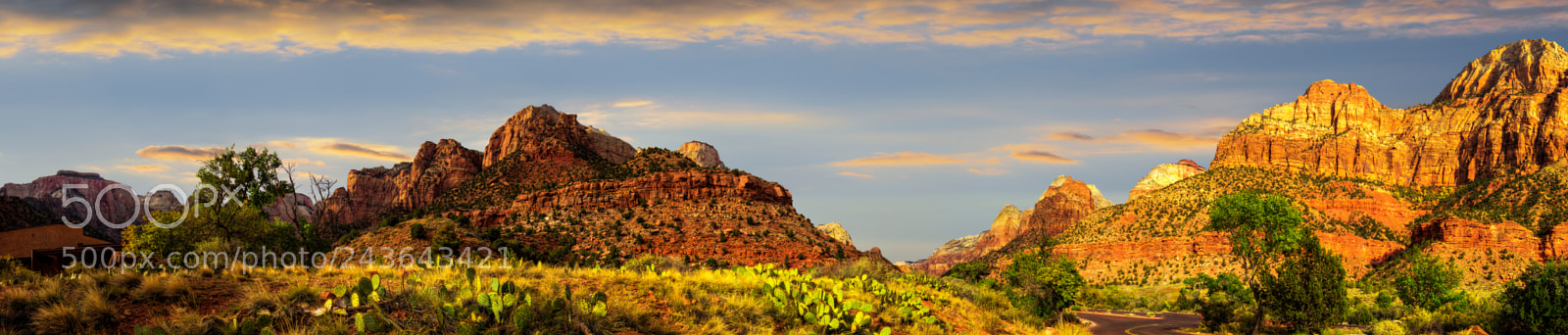 Nikon D810 sample photo. Zion national park photography