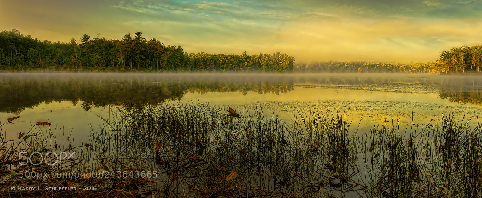 Nikon D800E sample photo. Greenwood pond, nh sunrise photography