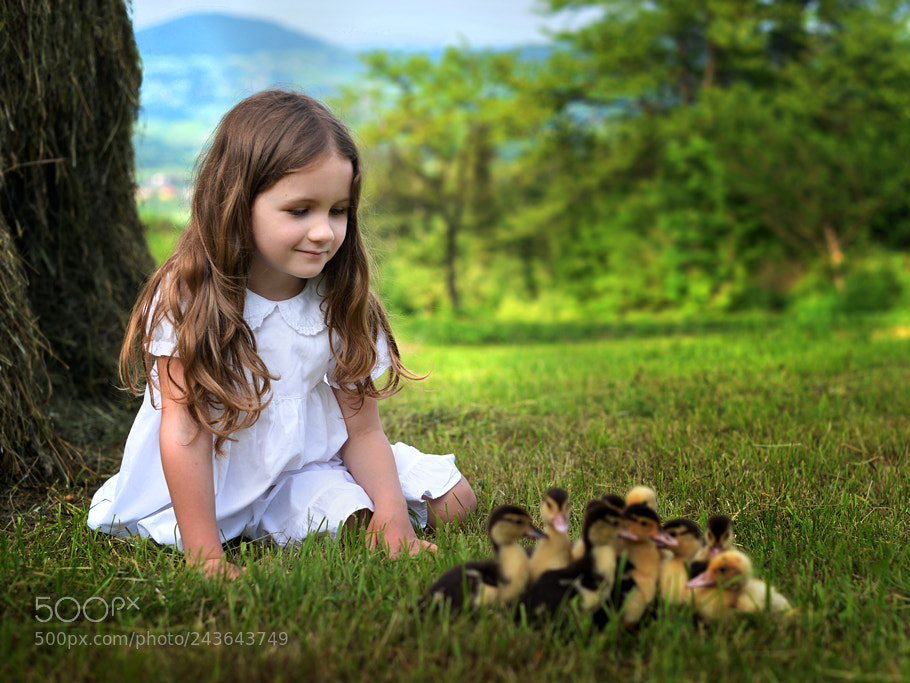 Nikon D610 sample photo. * * * photography