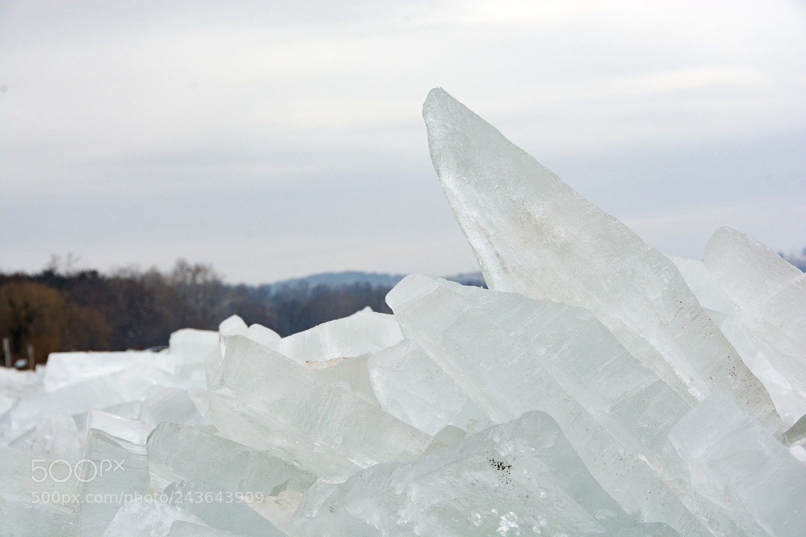Nikon D7100 sample photo. Rising from the frozen photography
