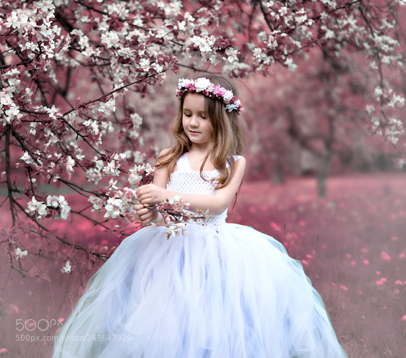 Nikon D610 sample photo. * * * photography