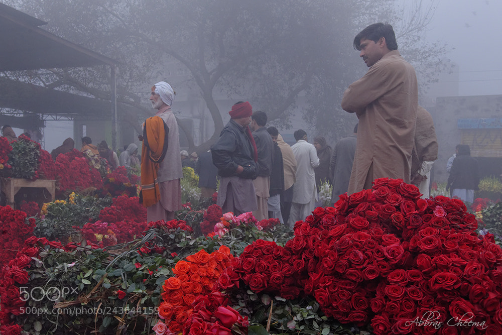 Nikon D800 sample photo. Flower market photography