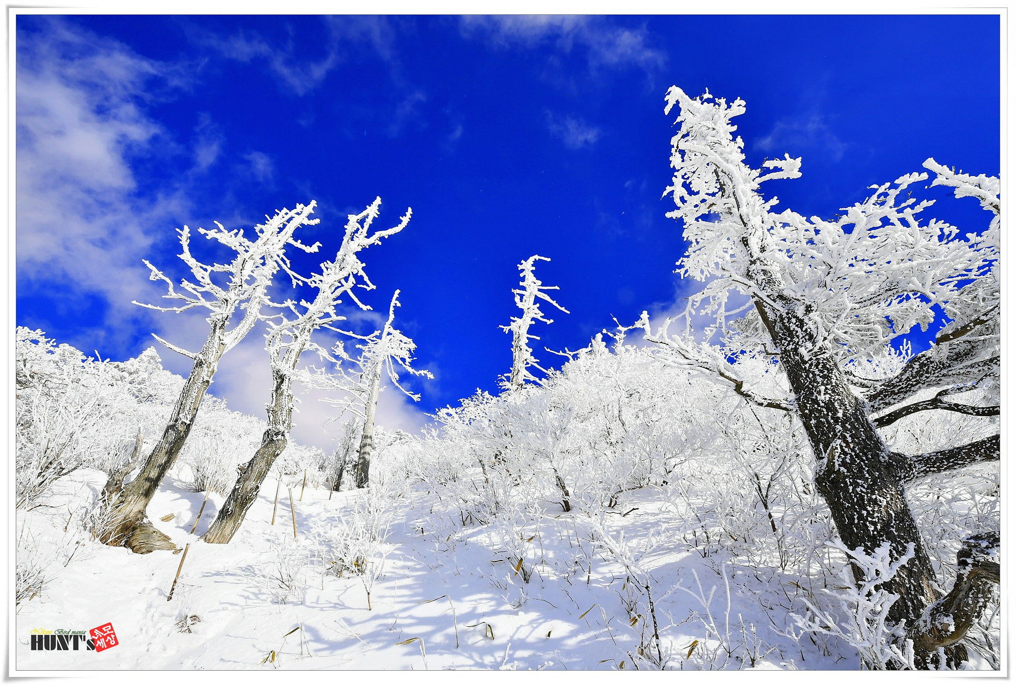 Nikon D5 + Nikon AF-S Nikkor 14-24mm F2.8G ED sample photo. Winter of korea photography