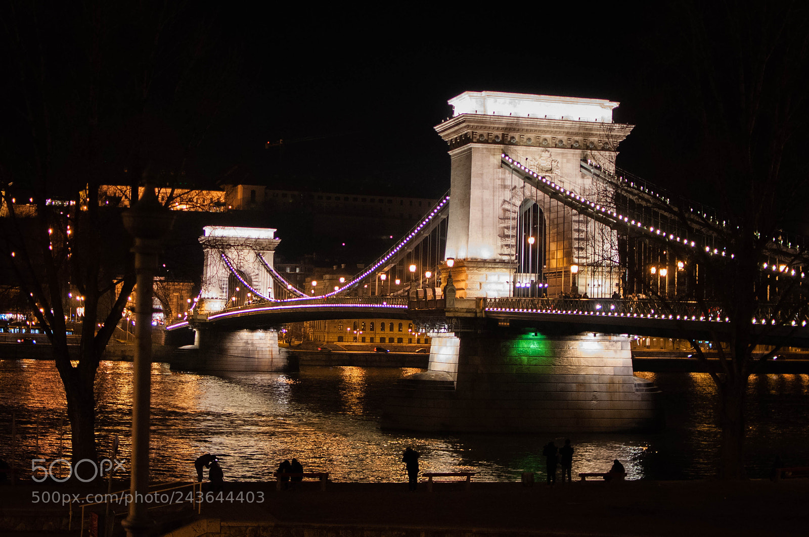 Nikon D5000 sample photo. Chain bridge photography