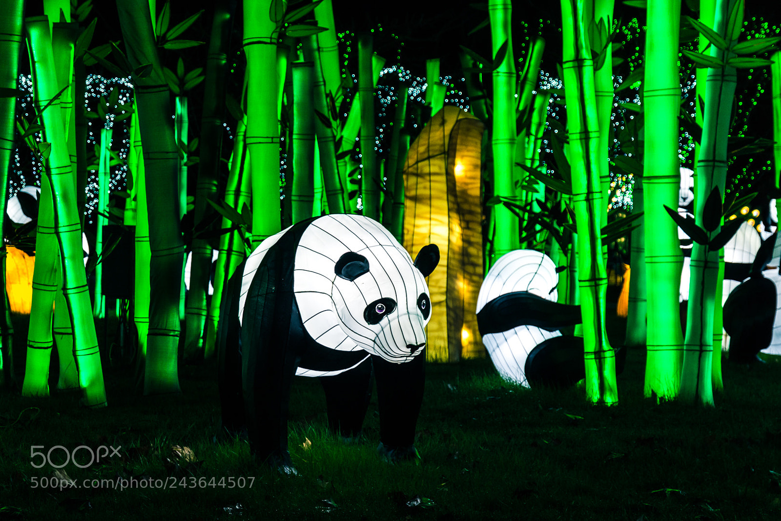 Nikon D7200 sample photo. Festival des lanternes de photography