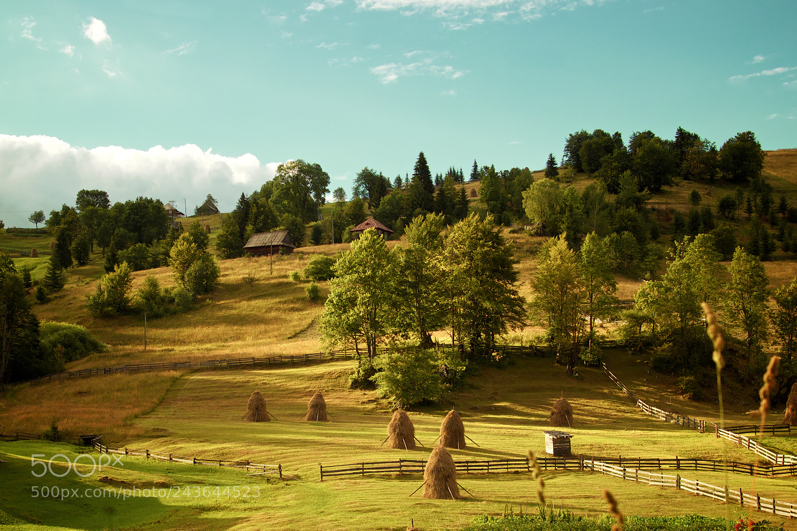 Canon EOS 600D (Rebel EOS T3i / EOS Kiss X5) sample photo. Pestera scarisoara, romania photography
