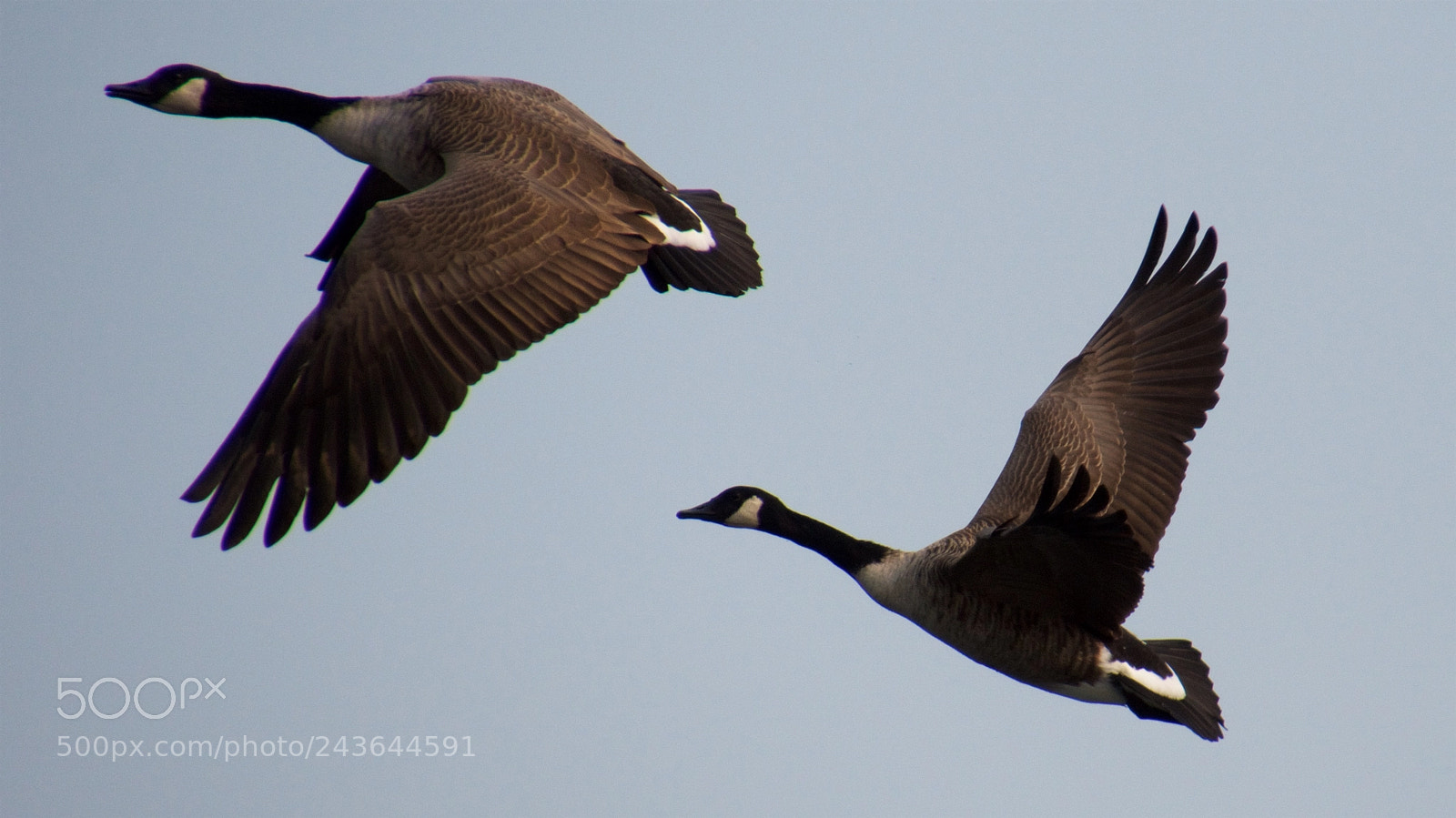 Nikon D7200 sample photo. Above photography