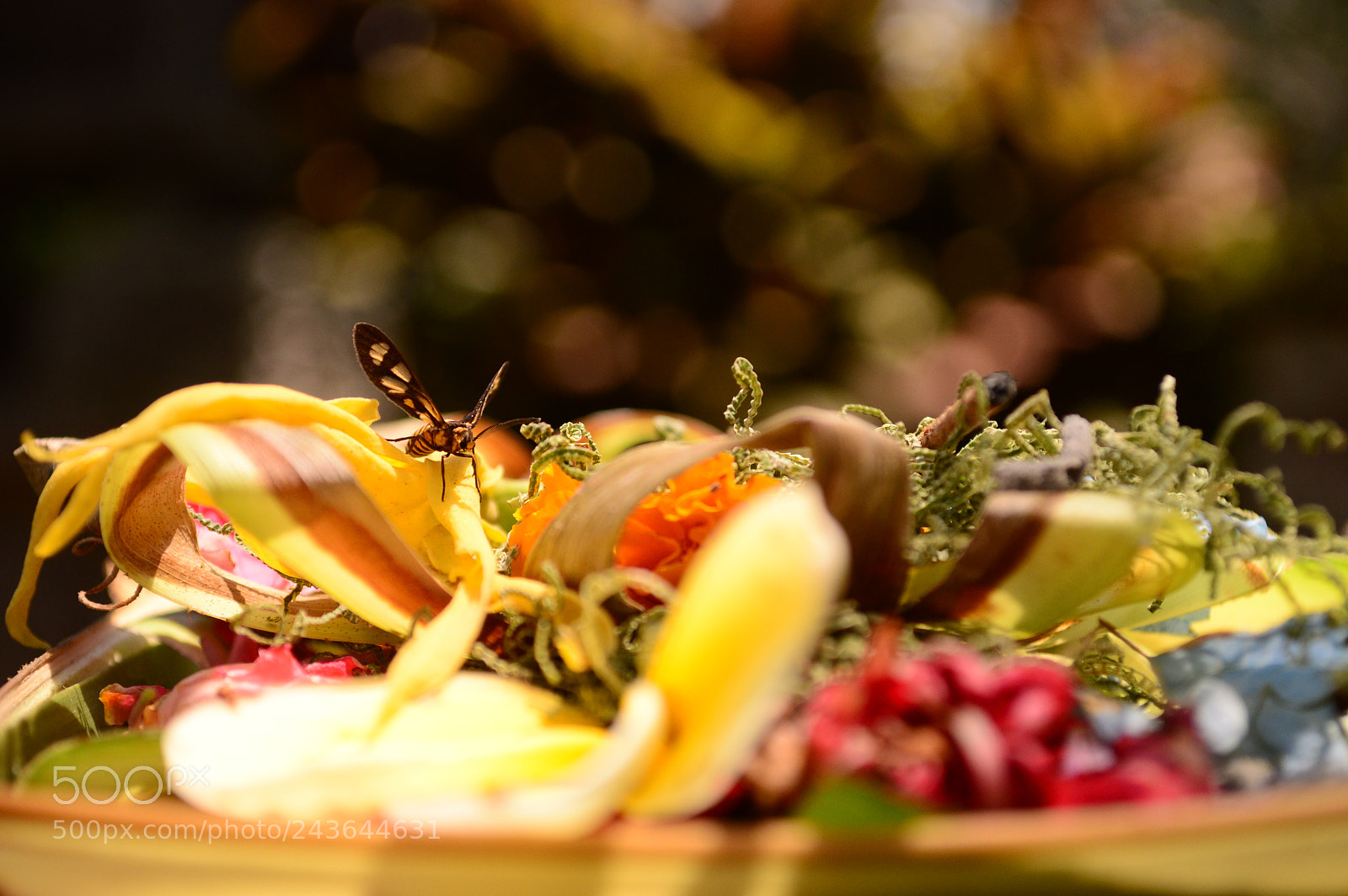 Nikon D3200 sample photo. Bali photography