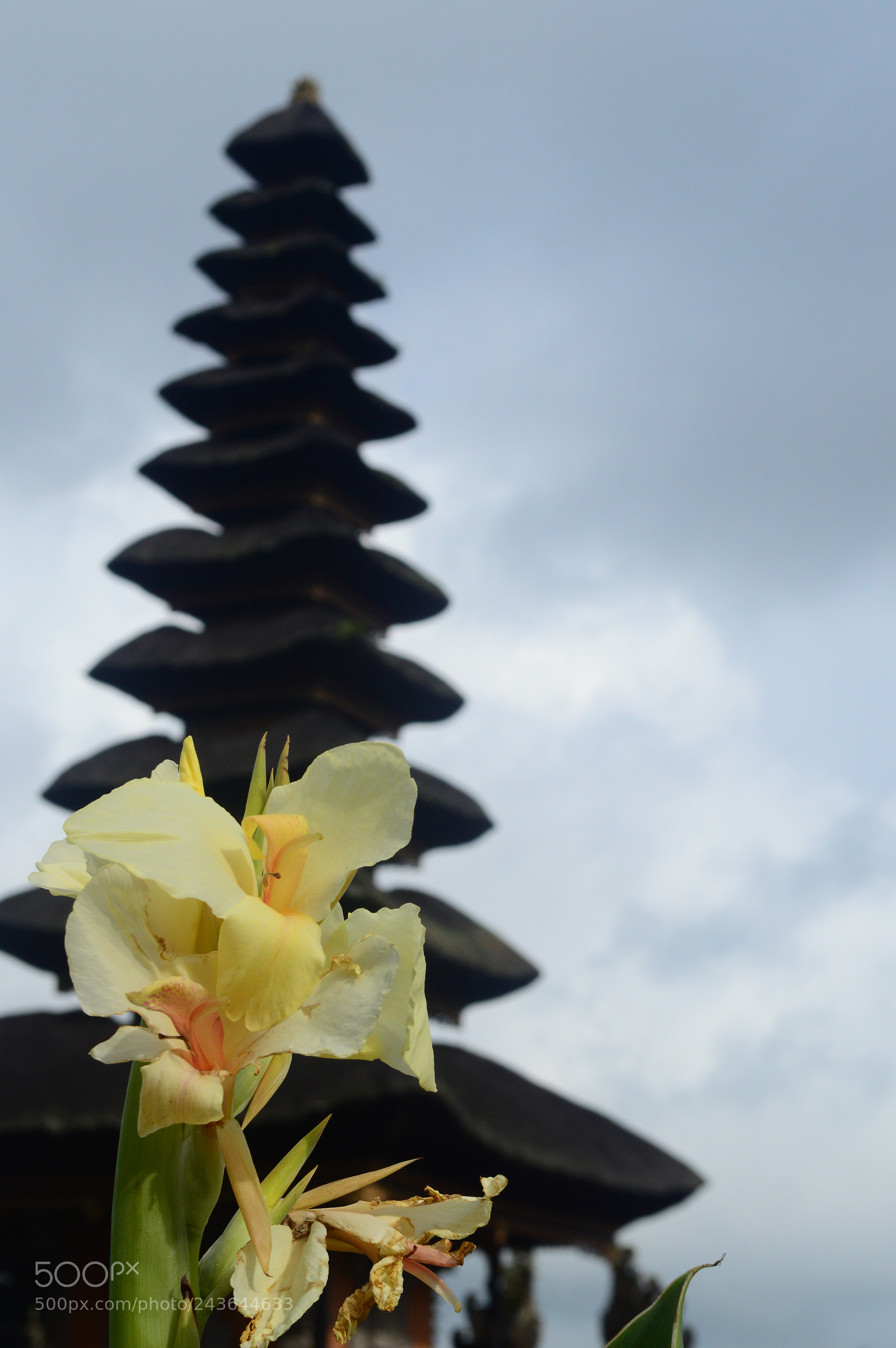 Nikon D3200 sample photo. Bali photography
